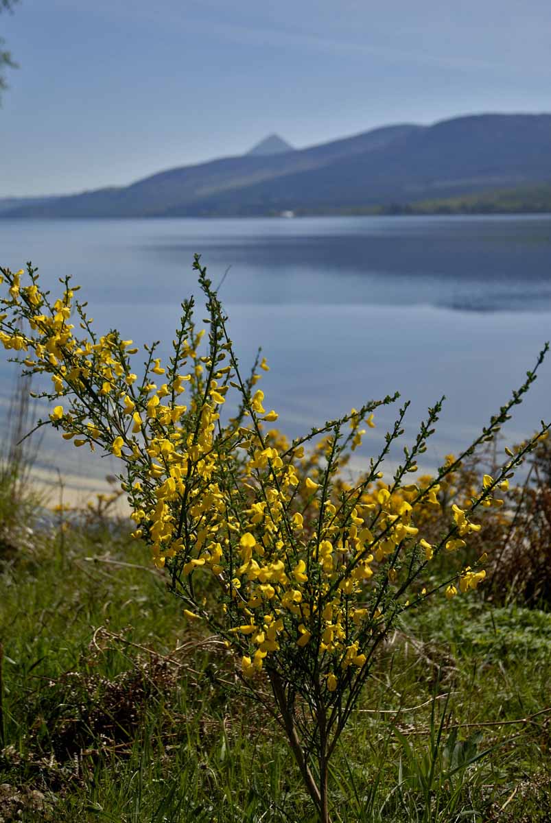 Schiehallion Loch Rannoch